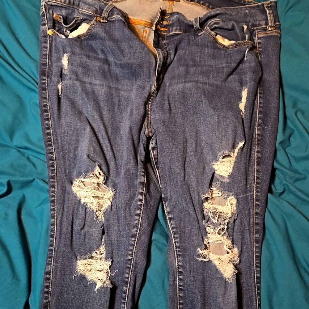 Torrid jegging